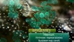 актриса бросилась под поезд пила парное молоко. 05. %D0%9D%D0%B5 %D0%BE%D0%B1%D0%BE%D0%B6%D0%B3%D0%B8%D1%81%D1%8C %D0%BD%D0%B0 %D0%BC%D0%BE%D0%BB%D0%BE%D0%BA%D0%B5.avi 002104.244. актриса бросилась под поезд пила парное молоко фото. актриса бросилась под поезд пила парное молоко-05. %D0%9D%D0%B5 %D0%BE%D0%B1%D0%BE%D0%B6%D0%B3%D0%B8%D1%81%D1%8C %D0%BD%D0%B0 %D0%BC%D0%BE%D0%BB%D0%BE%D0%BA%D0%B5.avi 002104.244. картинка актриса бросилась под поезд пила парное молоко. картинка 05. %D0%9D%D0%B5 %D0%BE%D0%B1%D0%BE%D0%B6%D0%B3%D0%B8%D1%81%D1%8C %D0%BD%D0%B0 %D0%BC%D0%BE%D0%BB%D0%BE%D0%BA%D0%B5.avi 002104.244.